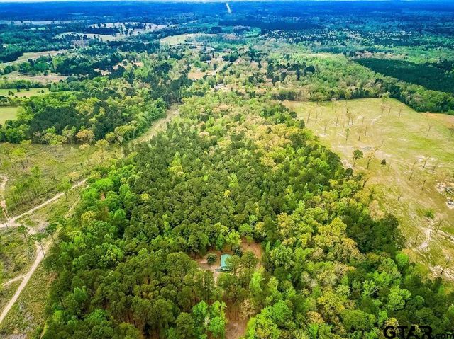 13920 FM 1649, Ore City, TX 75683