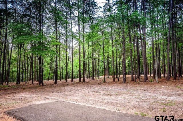 13920 FM 1649, Ore City, TX 75683
