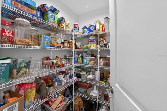 17216 SCUBA CREST STREET, Wimauma, FL 33598