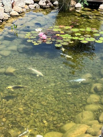 18939 I- Drive N, Marengo Twp, MI 49068