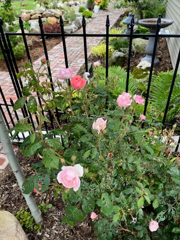 18939 I- Drive N, Marengo Twp, MI 49068