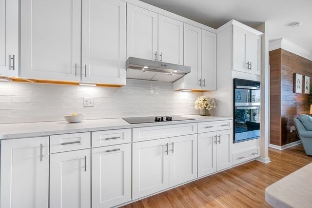 6 Peters Farm Way 411, Westborough, MA 01581