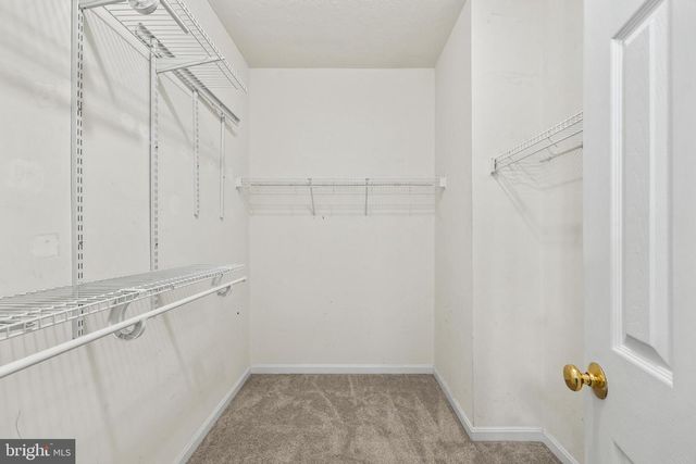 2262 WILDFLOWER WAY, Locust Grove, VA 22508