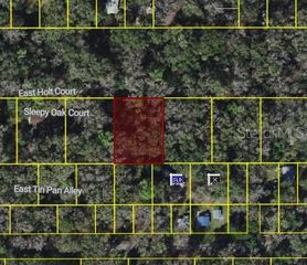 9346 E SLEEPY OAK COURT, Inverness, FL 34453