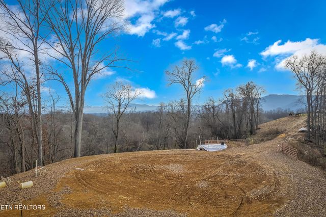 1739 Long Branch Rd, Seymour, TN 37865