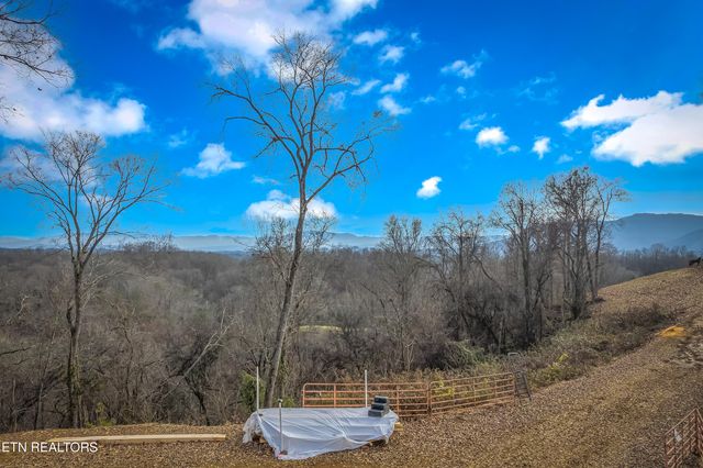 1739 Long Branch Rd, Seymour, TN 37865