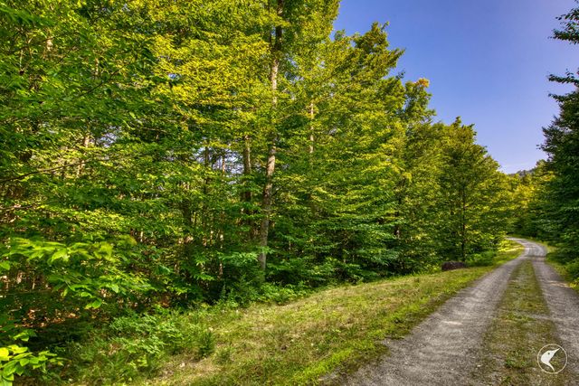 0 Grouse Creek Way LOT 4, Lake Placid, NY 12946