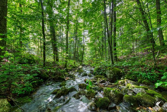 0 Grouse Creek Way LOT 4, Lake Placid, NY 12946