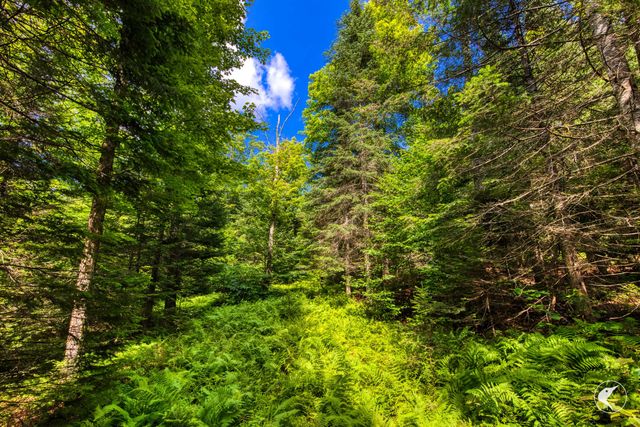 0 Grouse Creek Way LOT 4, Lake Placid, NY 12946