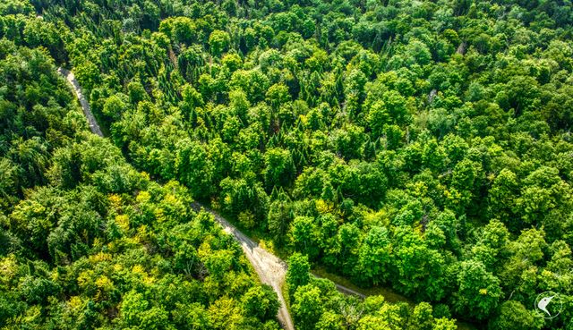 0 Grouse Creek Way LOT 4, Lake Placid, NY 12946