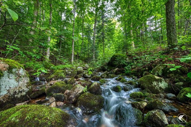 0 Grouse Creek Way LOT 4, Lake Placid, NY 12946