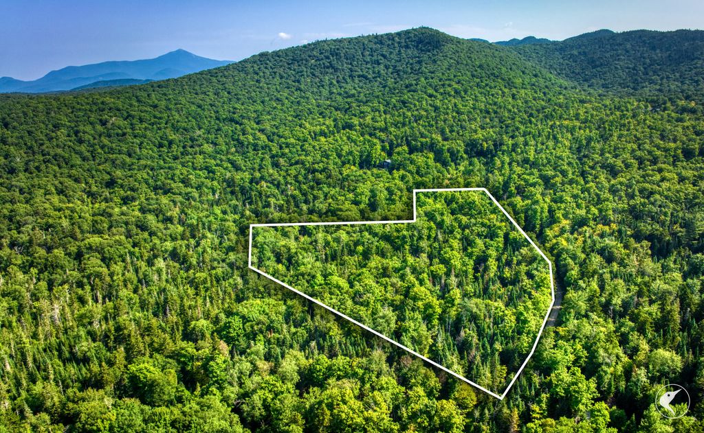 0 Grouse Creek Way LOT 4, Lake Placid, NY 12946