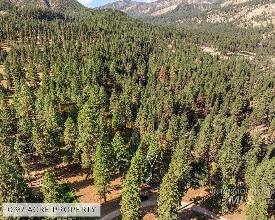 6 Willow Dr, Lowman, ID 83637 photo 2