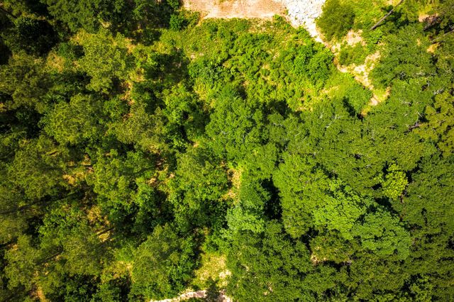 TBA Red Lowe Road, Livingston, TX 77351