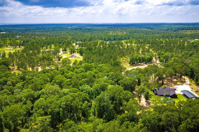TBA Red Lowe Road, Livingston, TX 77351