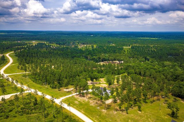 TBA Red Lowe Road, Livingston, TX 77351