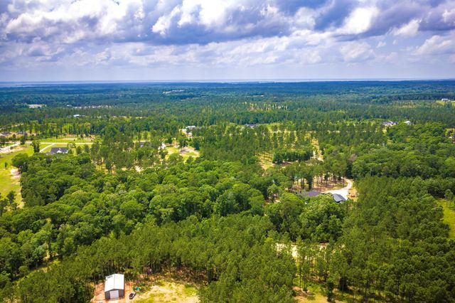 TBA Red Lowe Road, Livingston, TX 77351