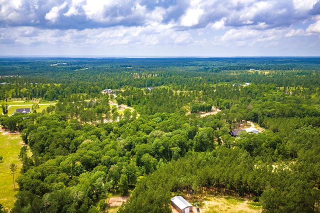 TBA Red Lowe Road, Livingston, TX 77351