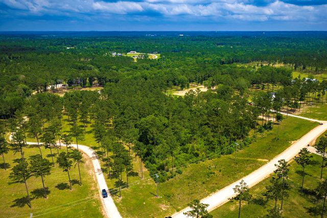 TBA Red Lowe Road, Livingston, TX 77351