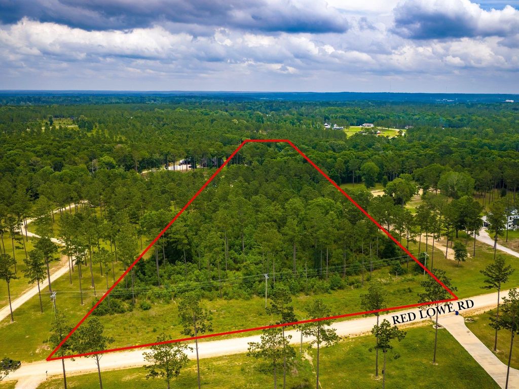 TBA Red Lowe Road, Livingston, TX 77351