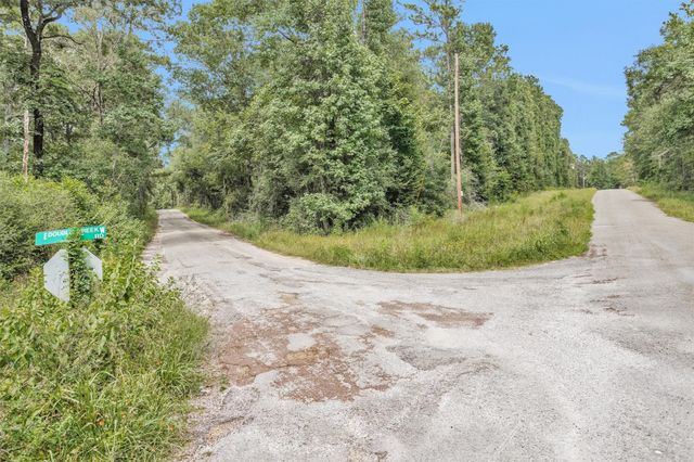 Lot 20 E Double Creek Road, Willis, TX 77378