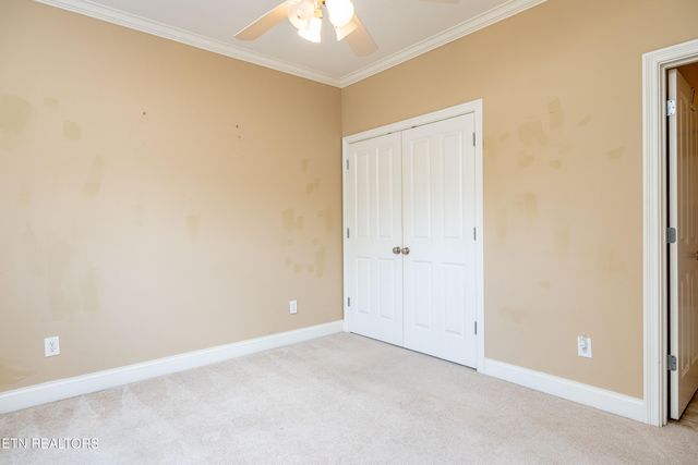 4242 Rare Earth Drive, Knoxville, TN 37938