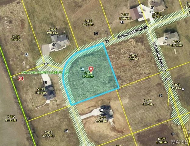 70 Eagles Watch Drive, Silex, MO 63377