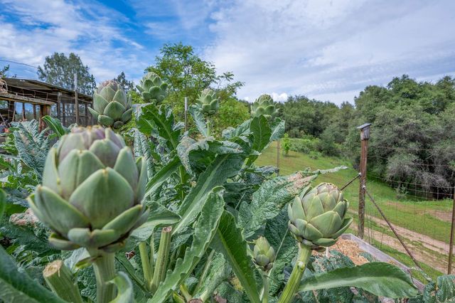 5620 China Hill Rd, El Dorado, CA 95623