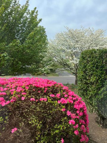 5018 Carter Grove LN, Roanoke, VA 24012