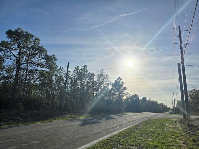 13070 QUIGLEY AVENUE, Weeki Wachee, FL 34614