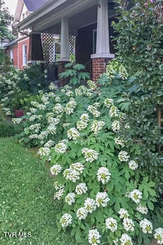 604 West Maple Street, Johnson City, TN 37604