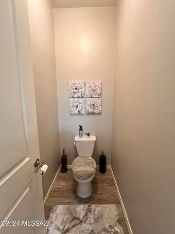 13289 N Rainbow Cactus Court, Oro Valley, AZ 85755