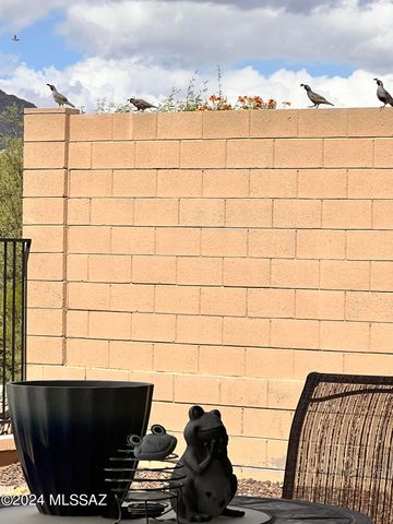 13289 N Rainbow Cactus Court, Oro Valley, AZ 85755