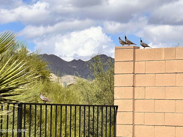 13289 N Rainbow Cactus Court, Oro Valley, AZ 85755