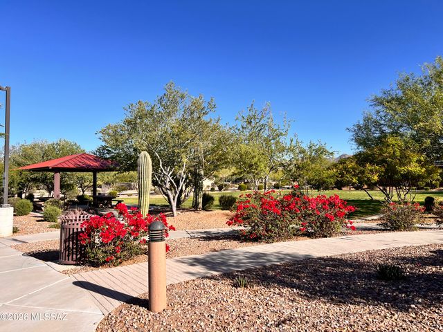 13289 N Rainbow Cactus Court, Oro Valley, AZ 85755