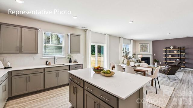 15019 Murrelet Way, Charlotte, NC 28215