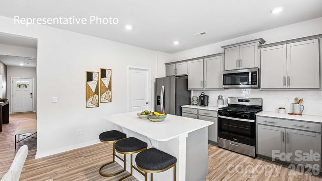15019 Murrelet Way, Charlotte, NC 28215