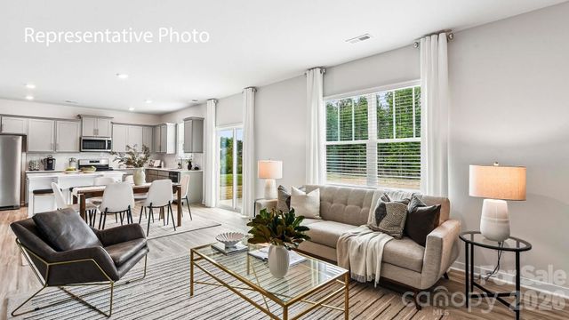 15019 Murrelet Way, Charlotte, NC 28215