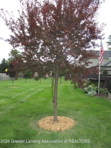 461 Coventry Lane, Mason, MI 48854