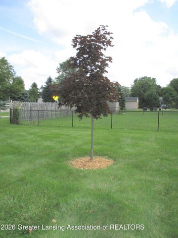 461 Coventry Lane, Mason, MI 48854