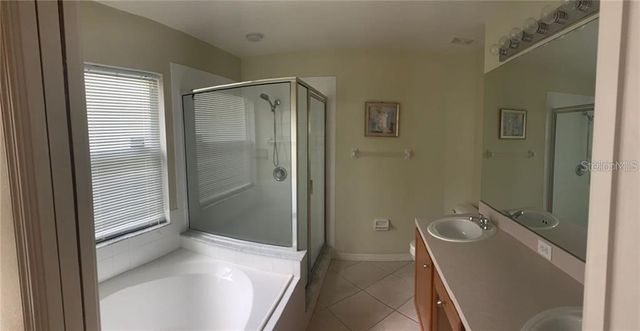 29703 BIRDS EYE DRIVE, Wesley Chapel, FL 33543