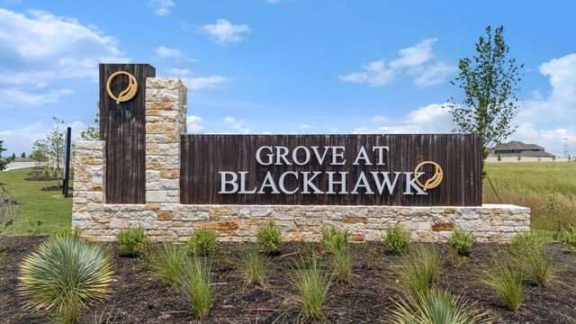 17320 Joy Kay Cotton ST, Pflugerville, TX 78660