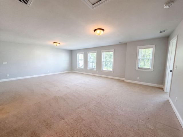 203 Plowden Mill Court, Summerville, SC 29485