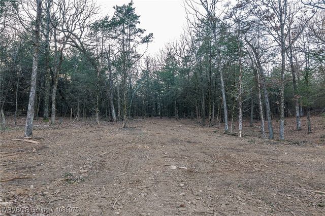 1486 Reveille Valley Road, Magazine, AR 72943