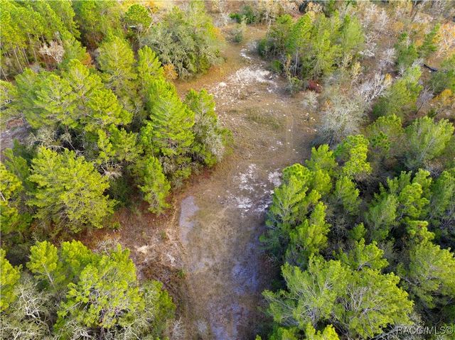 0 Backwoods Way, Brooksville, FL 34613