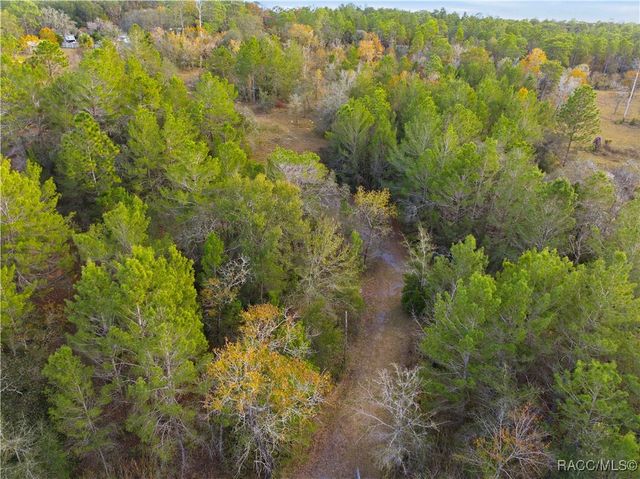 0 Backwoods Way, Brooksville, FL 34613