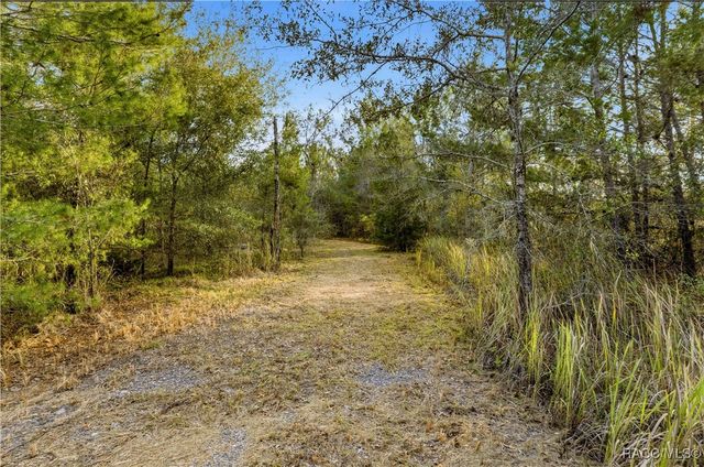 0 Backwoods Way, Brooksville, FL 34613