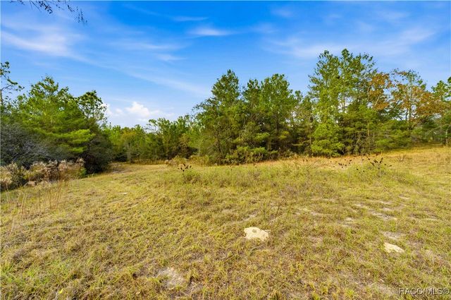 0 Backwoods Way, Brooksville, FL 34613