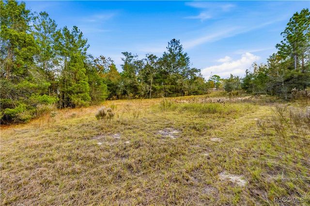 0 Backwoods Way, Brooksville, FL 34613