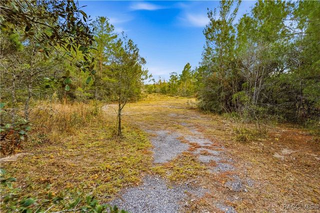 0 Backwoods Way, Brooksville, FL 34613